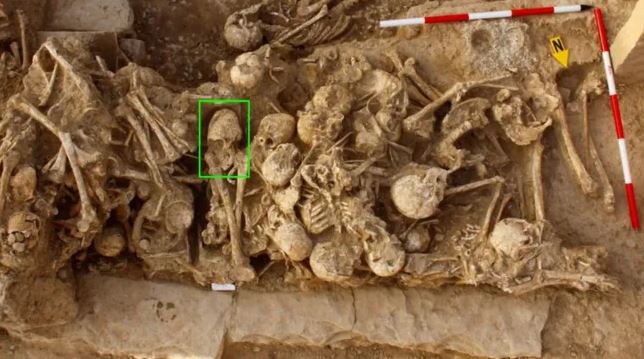 Grim 'cone-headed' skull that was BASHED IN 6,200 years ago found among mass grave as experts probe brutal death