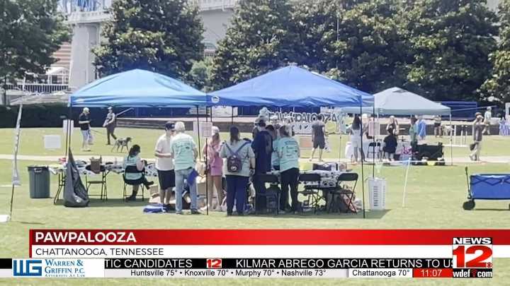 Paw Palooza takes over Coolidge Park for a day of furry fun