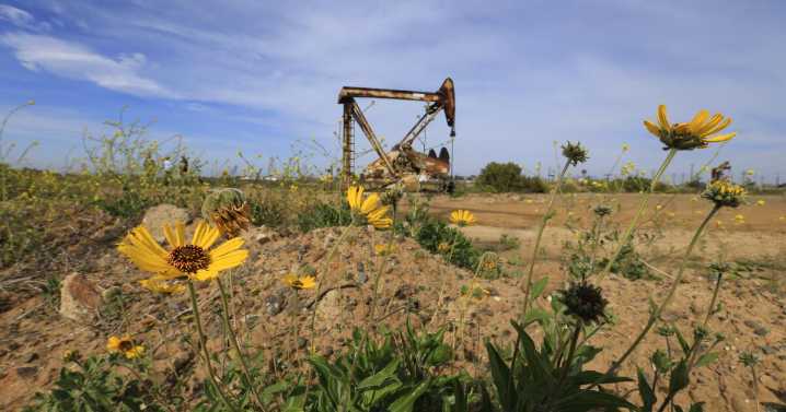 Letters to the Editor: As July 4th approaches, Orange County preserve requires fire