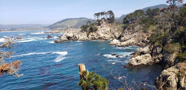 Tracey Weiss, Our Ocean Backyard | Sustaining what sustains us, a love letter to the ocean