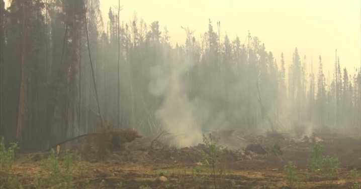 Pollution from Canada wildfires brings down Maine air quality