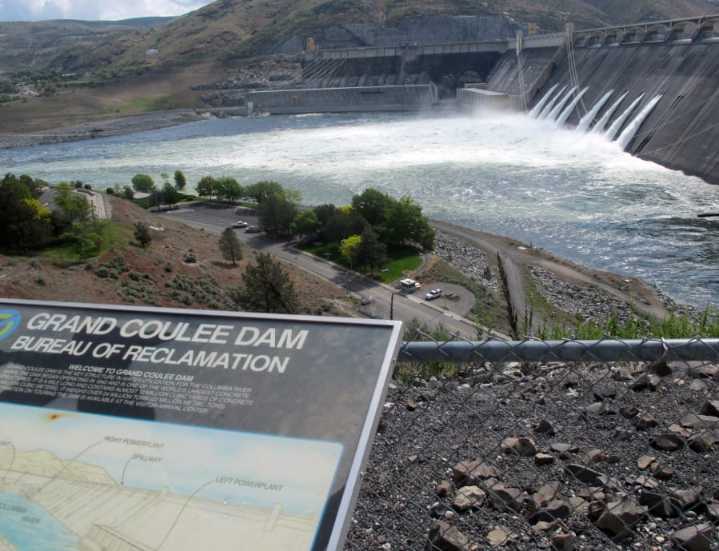 ‘A win for everybody’: Feds OK tribes’ landmark plan to reintroduce salmon into upper Columbia River