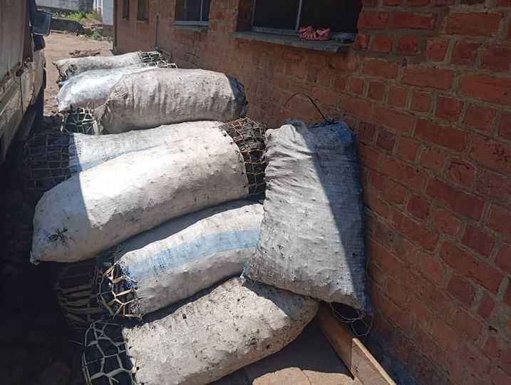 Ntcheu Man Fined K250,000 for Illegal Charcoal Trafficking