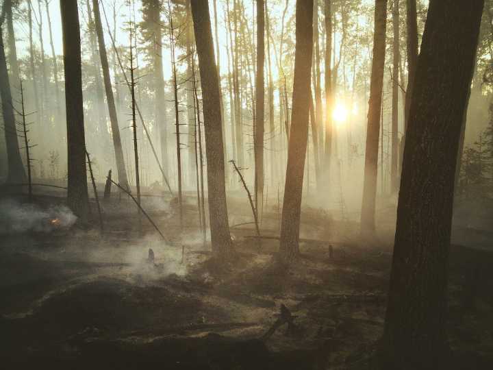 Canada’s northern wildfires projected to slow global warming