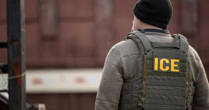 Contributor: Voters wanted immigration enforcement, but not like this
