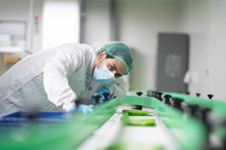 Ireland welcomes a 'balanced, predictable, globally competitive' pharma package