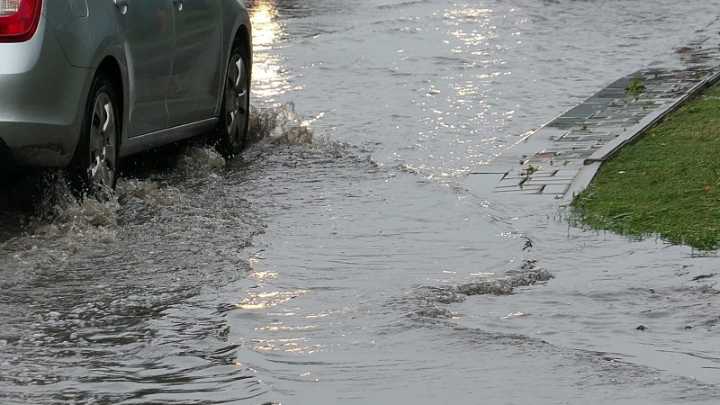 Rain postpones Belmont races, cancels other area events