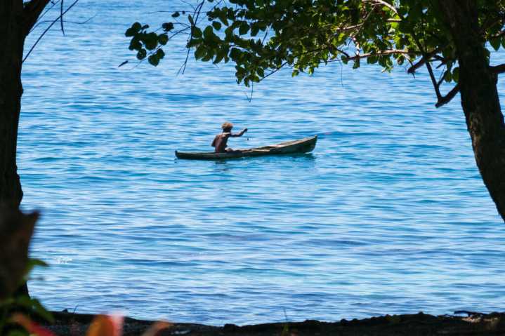 Lifeblood for Pacific Islands Threatened as Warming Ocean Drives Tuna East