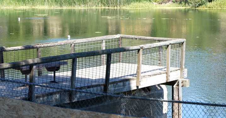 New Paddleboat Shack “Wild Fields Lakeside” set to make a splash at Atascadero Lake Park