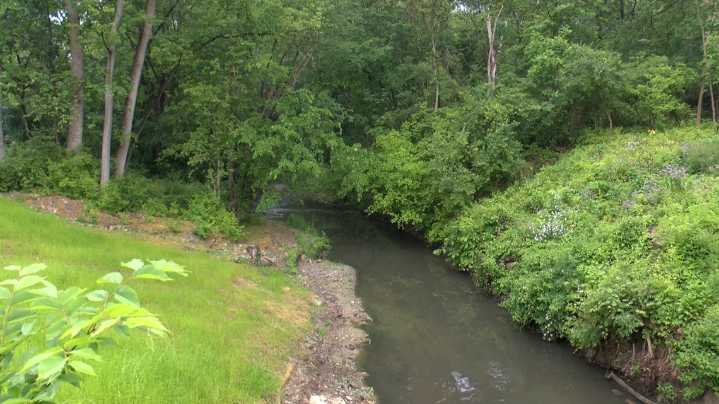 'Elevated levels' of E. coli confirmed in Toledo creek following sewage overflow, city says