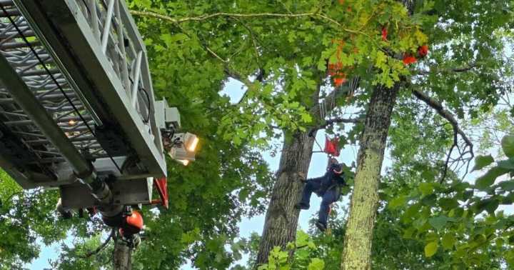 Student skydiver lands in tree in Orange County