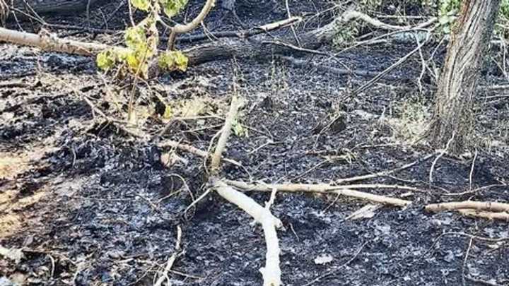 Campers evacuated, West Haven park closed after campfire spreads across 5 acres