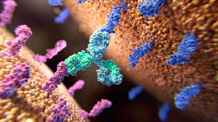 BMS Buys Into BioNTech Bispecific Antibody, Putting Up $1.5B to Collaborate in Multiple Cancers