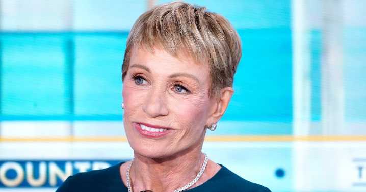 Barbara Corcoran Reveals All The Face Procedures She’s Had, Including Ear Filler