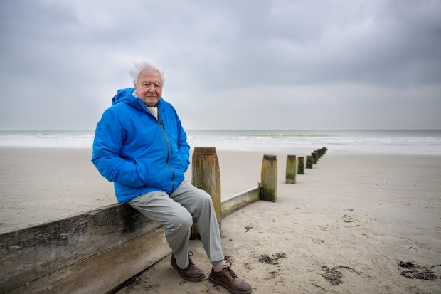  Doc does deep dive into the ‘Ocean with David Attenborough’ 