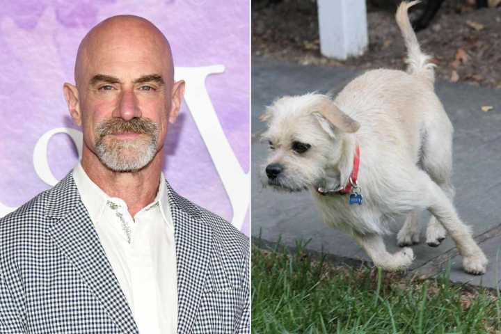 Christopher Meloni Announces Death of His Beloved Rescue Dog with Cancer