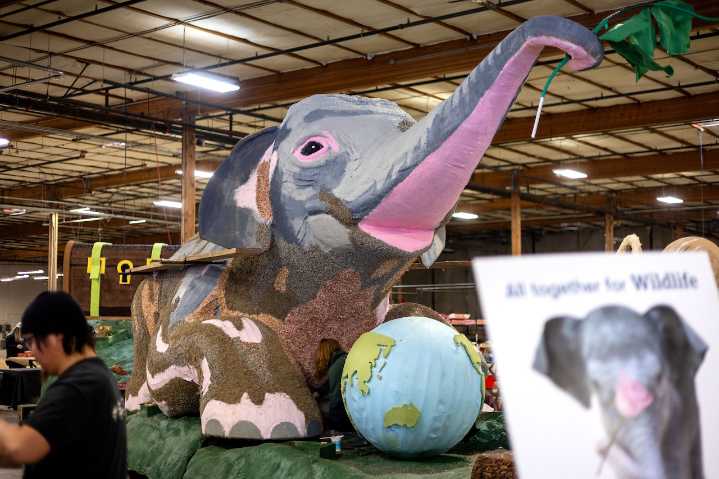 Downtown Portland welcomes the Grand Floral Parade’s return