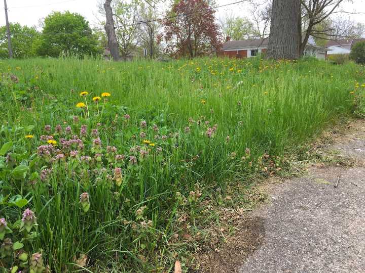 Maintaining properties a priority in Penn Township