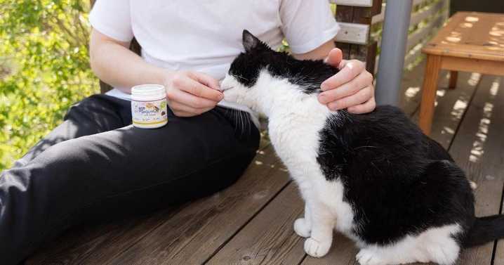 How to choose the right dental care products for your pet