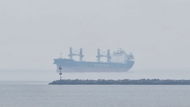 Much of Ontario under air quality warnings amid wildfire smoke: Environment Canada
