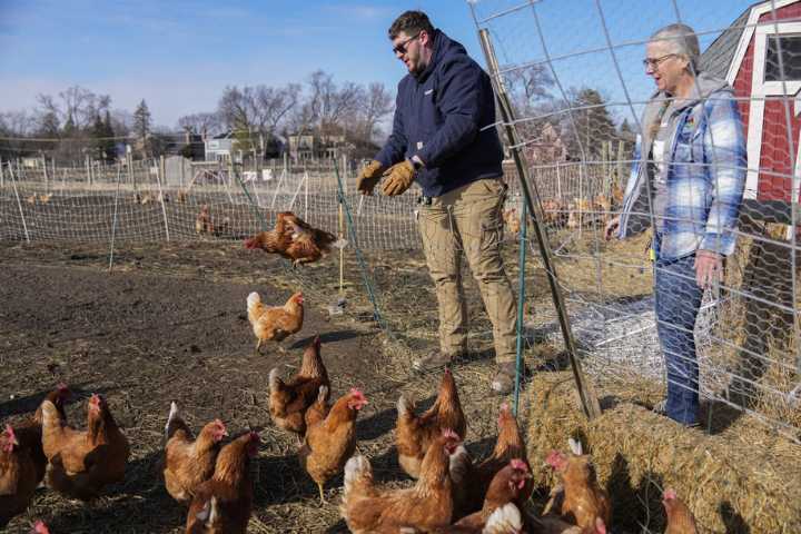 Agriculture chief crows about cheap eggs as farmers scramble to recover