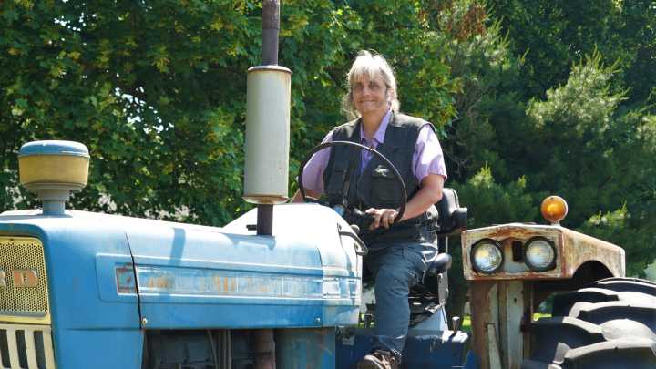 Stillwater bicentennial highlights town day festivals this weekend
