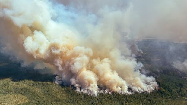 Mandatory evacuation order issued for area in Lac La Biche County due to wildfire