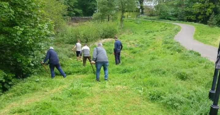 Mixed response PKC's 'environmentally-friendly alternative' to grass