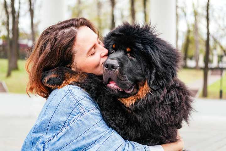Surprising Truths About The 9 Biggest Dog Breeds