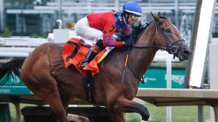 2025 Belmont Stakes predictions, odds, horses, date, post positions: Surprising picks from horse racing expert