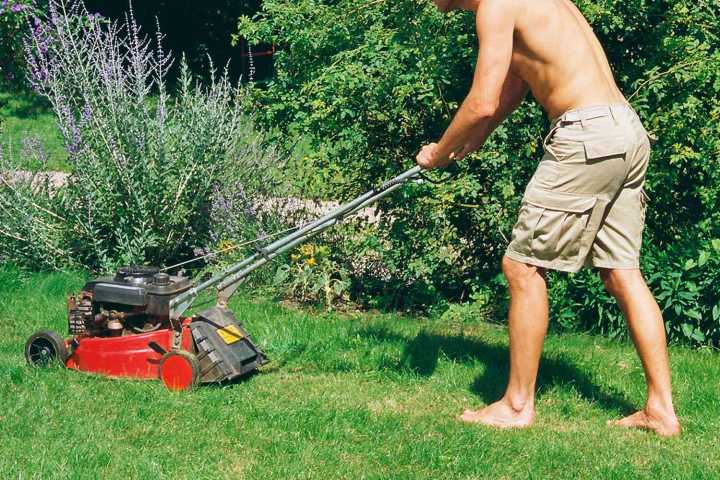 Man Has 'Petty' Response After Neighbor Complains About Him Mowing Lawn Shirtless