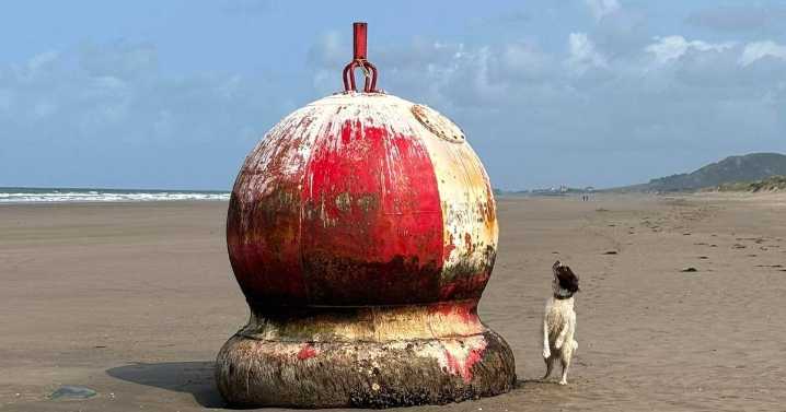 Holidaymakers warned of ‘unreal currents’ as massive 'dragon’s egg' washes up on North Wales beach
