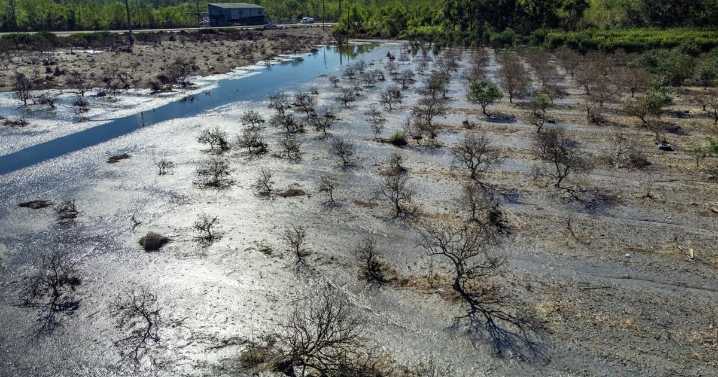 Is storm surge worsening along Louisiana's coast? Research shows reasons for concern.