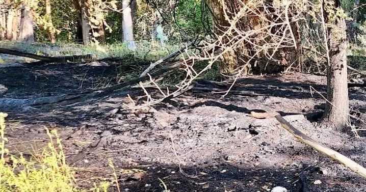 Campers evacuated after being trapped by West Haven park fire