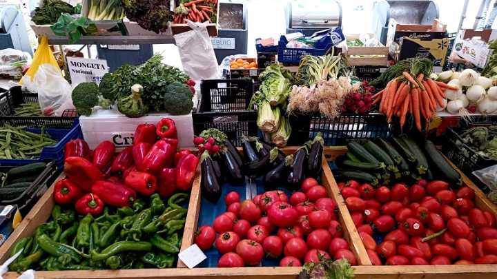 S.O.S: Urge una revolución alimentaria integral. Por Eva Saldaña, directora ejecutiva de Greenpeace España