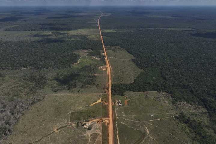 As UN climate talks loom, Brazil’s Amazon forest loses in May an area larger than NYC