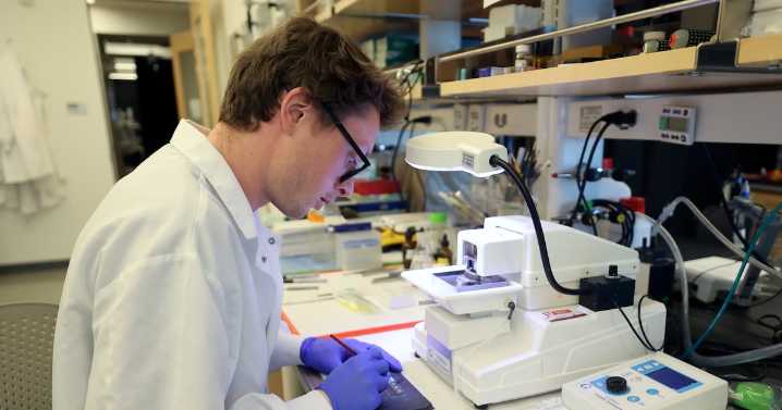 Opinion: Utah's innovation relies on research. What happens when funding dries up?