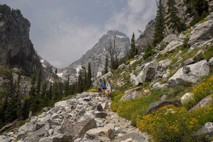 Residents invited to free 'Mental Health in the Wild' summer programming