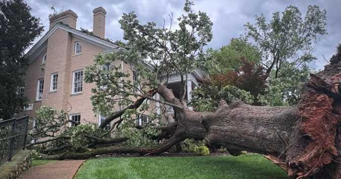 Multiple wires and trees down across the TN Valley following evening destructive severe weather