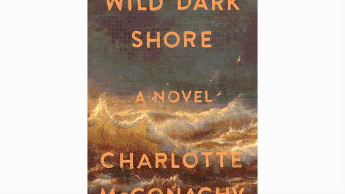 'Wild Dark Shore' Scored the Top Spot in Amazon's Best Books of the Year So Far List