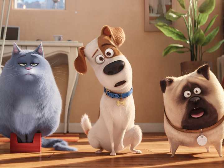 31 Best Animal Movies and Pet Movies To Watch As a Family