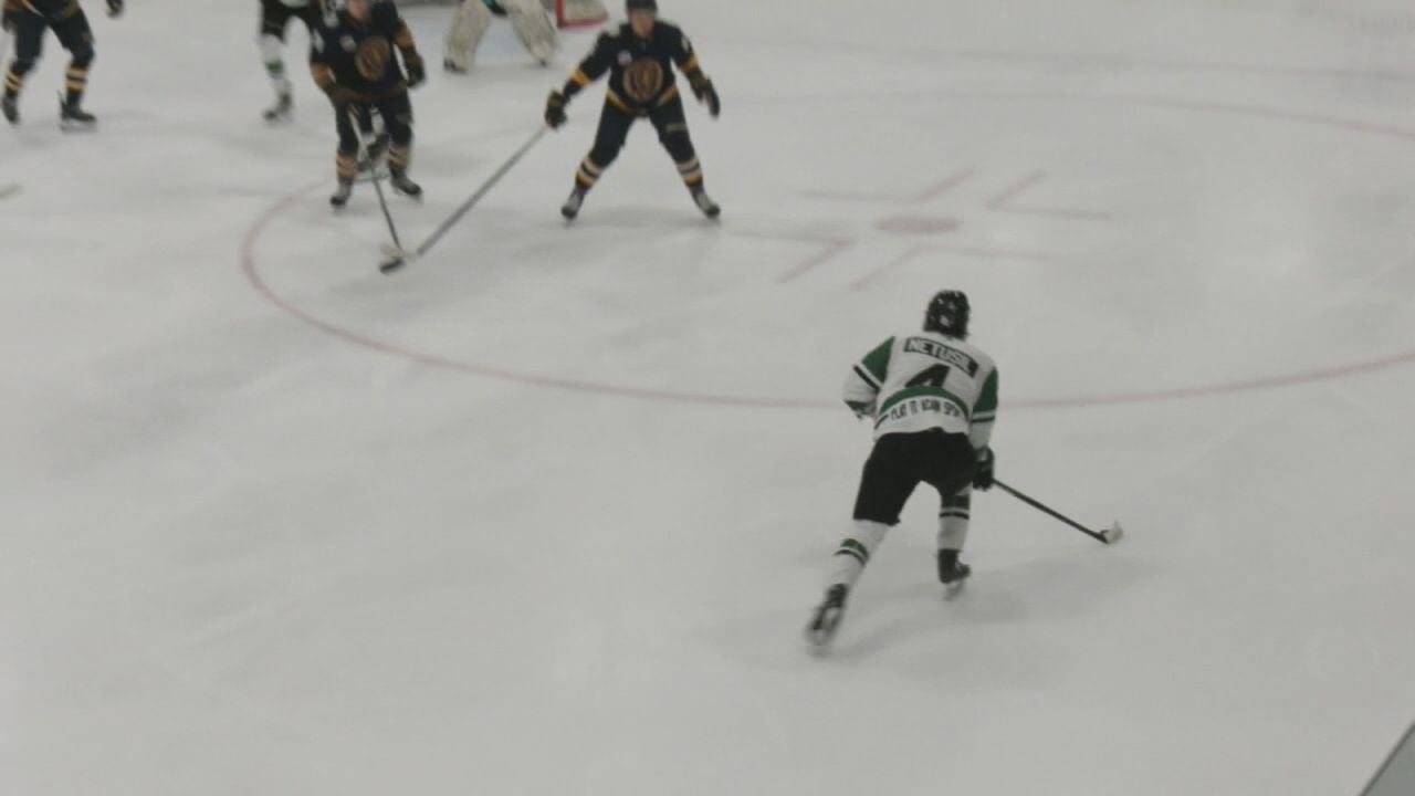 Wilderness Forward Frantisek Netusil Named Midwest Division Rookie of the Year