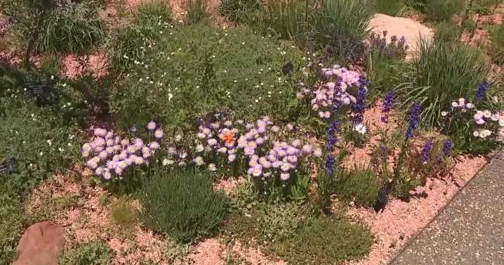 Debunking myths about drought