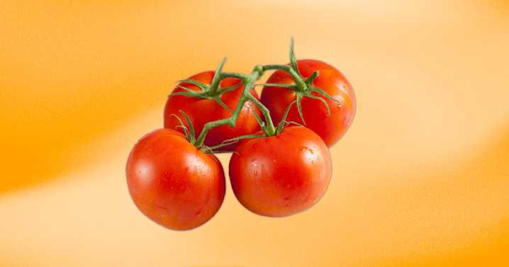 FDA Gives Tomato Recall Over Salmonella Highest Risk Warning