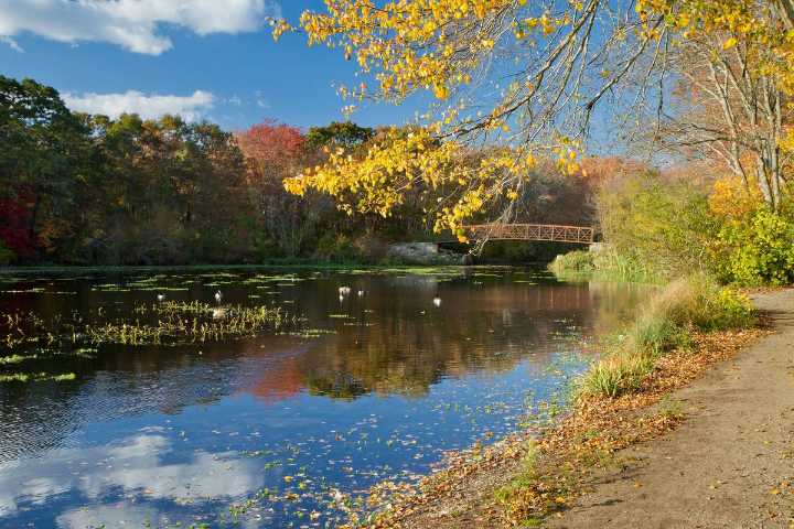 This NYC Suburb Landed #1 On The Best Places To Live In New York Rankings