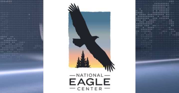Wabasha's National Eagle Center to celebrate Bald Eagle Day