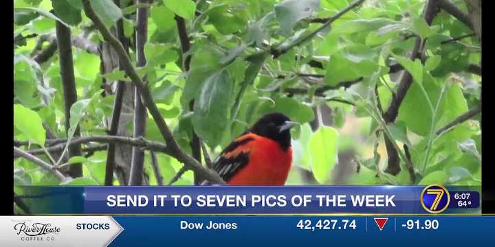Send it to 7 Pics of the Week