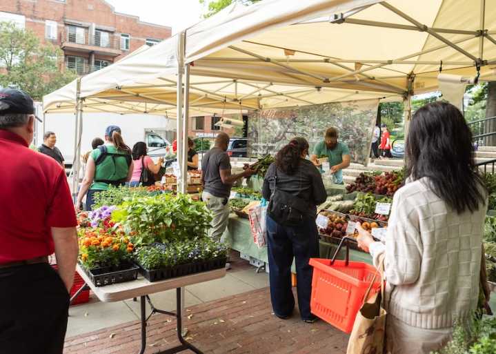 Watertown Farmers Market Opening June 11, See the New Vendors, Changes to Layout