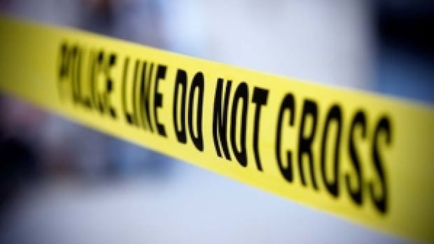 2 arrested after 2 teen boys seriously hurt in stabbing at Bluffers Park: Toronto police