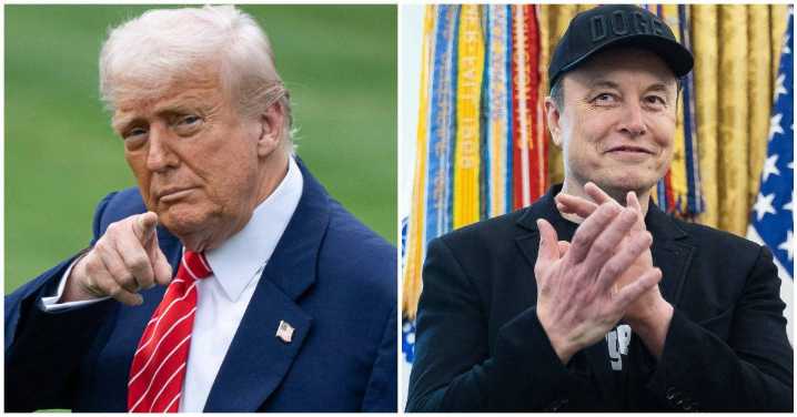 Did Trump Say Elon Did a Nazi Salute? He's Been Throwing Shade